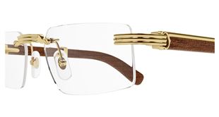  Gọng Cartier CT04850