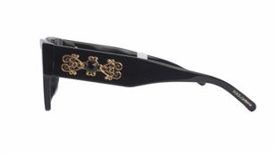 Dolce & Gabbana DG3435B 501